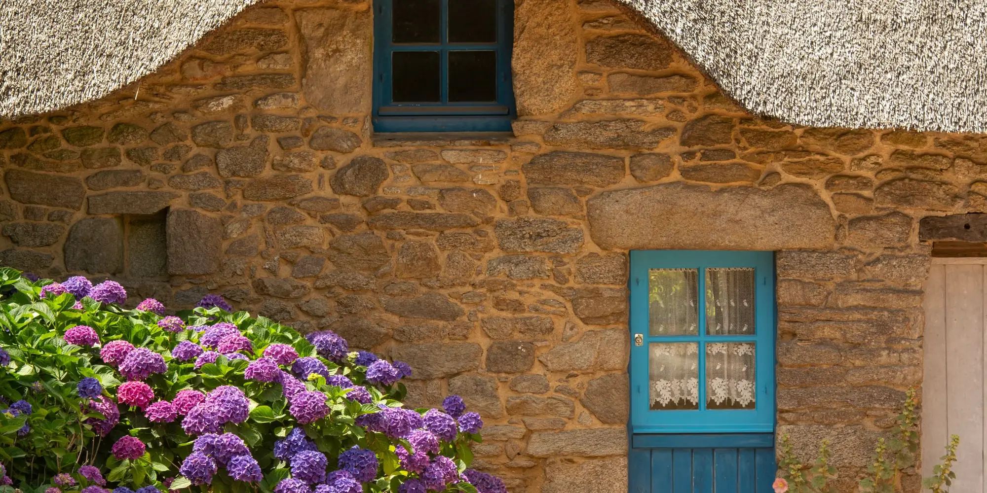 Stone cottage wall with a blue-painted window and hydrangeas