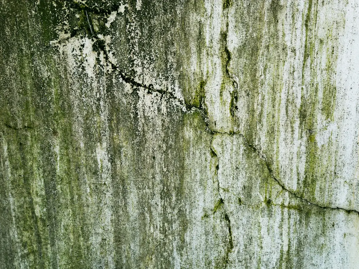Damp-stained cracked plaster