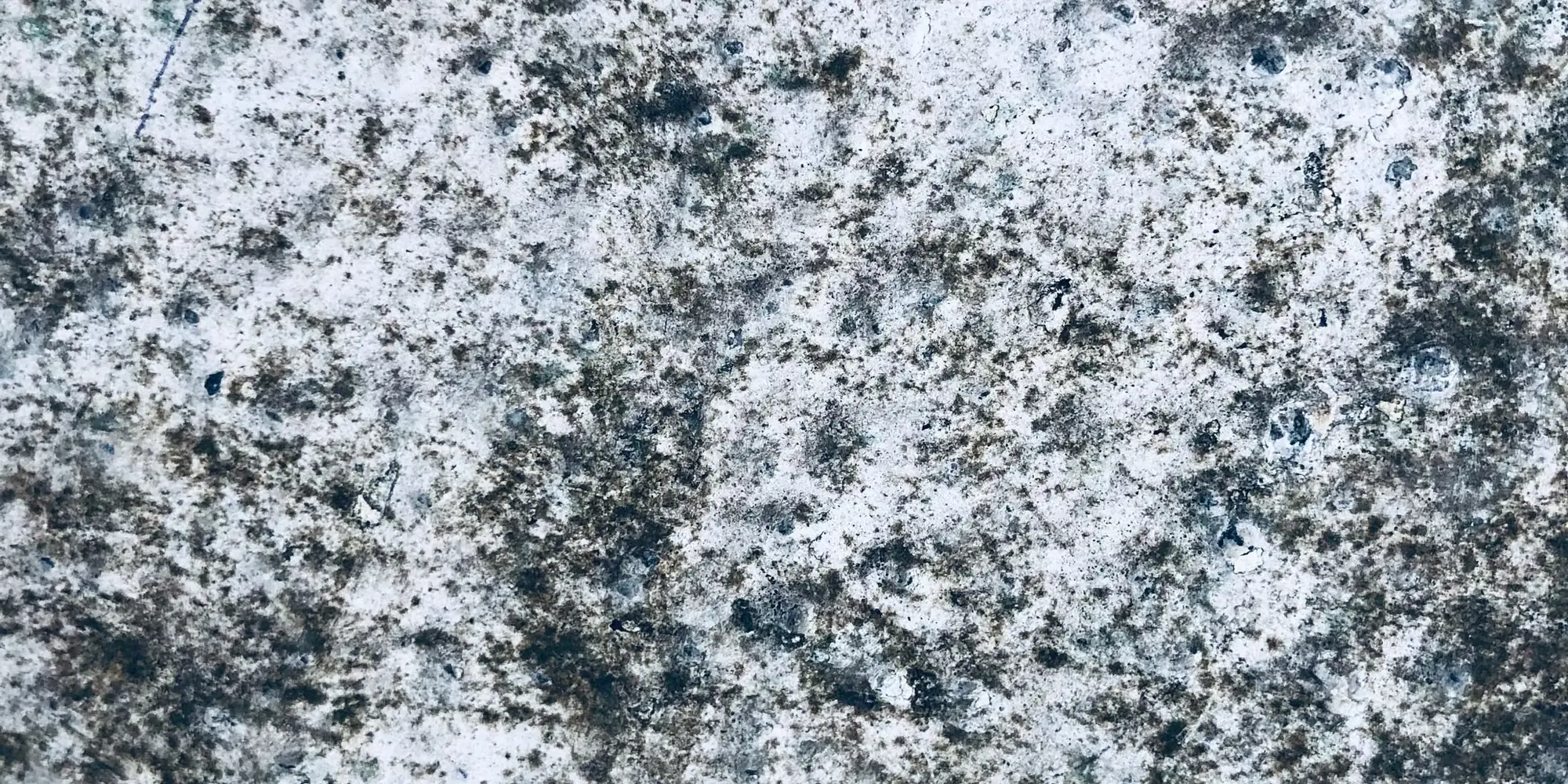 Close view of a mould-spotted damp wall surface