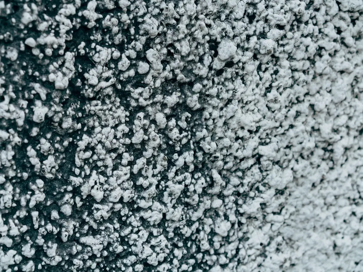 Pebbledash texture close up